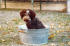 Giubos erste Badewanne