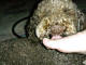 so ein Fuss, schmatz, schmatz